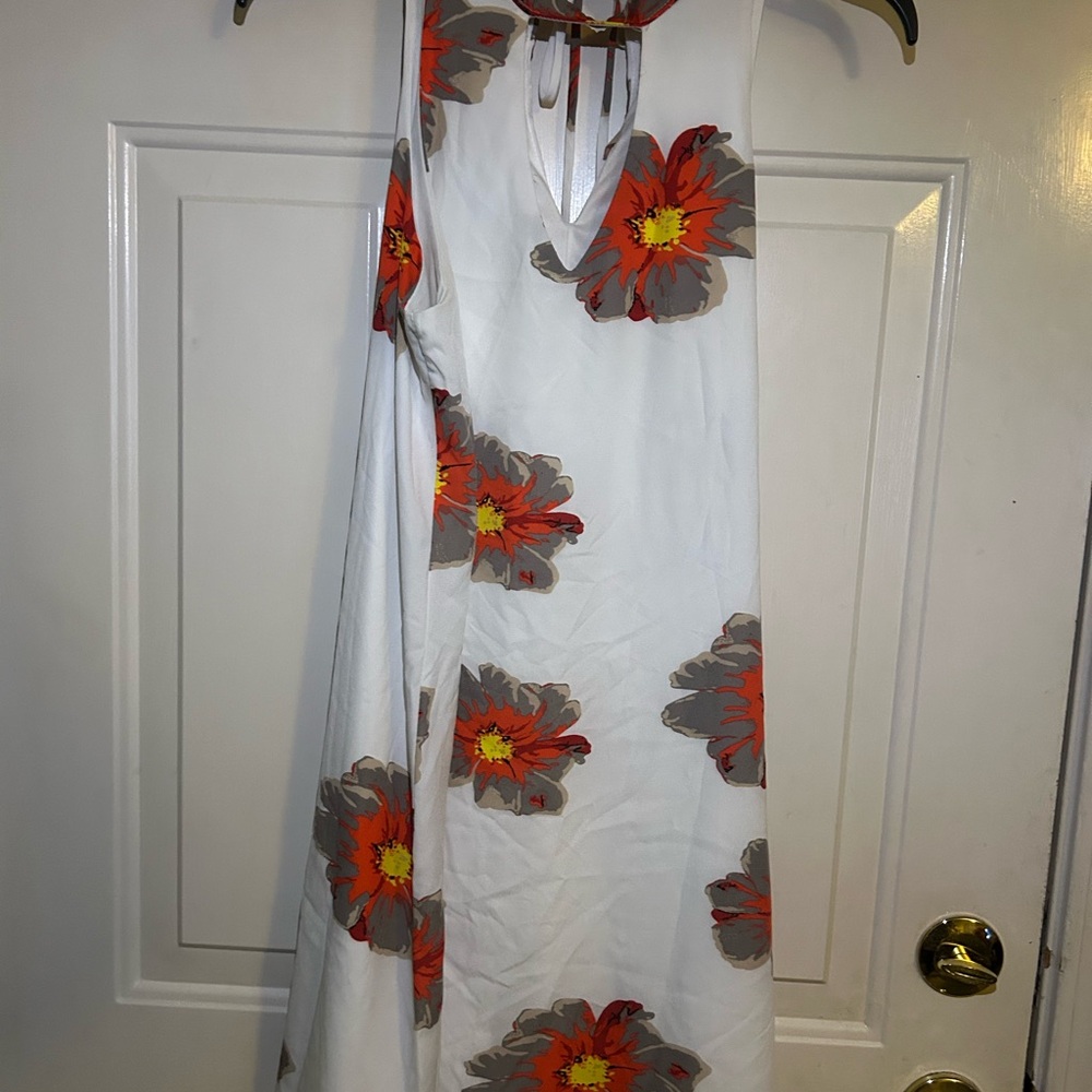 Floral Sleeveless Bohemian Red Floral White Dress
